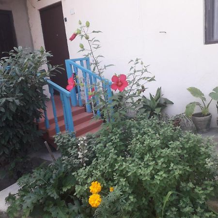 Guesthouse Zeinabi Tbilisi Exterior photo